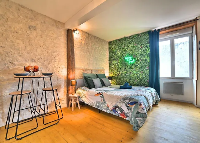 Jungle Rochelaise - Coeur De Ville, Entierement Renovee, Tv 4K, Fibre, Quartier Porte Royale