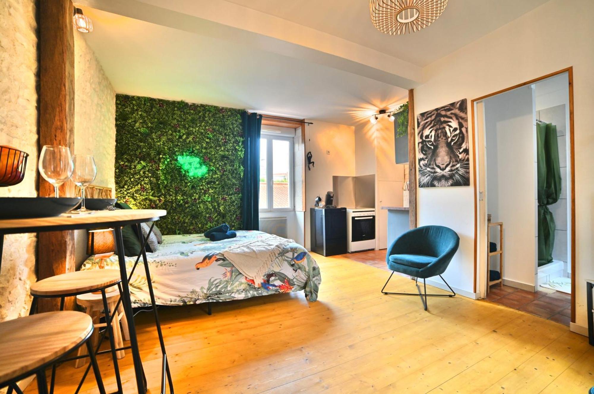 Jungle Rochelaise - Coeur De Ville, Entierement Renovee, Tv 4k, Fibre, Quartier Porte Royale * La Rochelle (Charente-Maritime)
